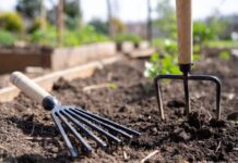 Hand Rake vs Cultivator: What’s the Difference and Which Garden Tool Do You Actually Need? Hand rake and cultivator gardening tools side by side in raised garden soil