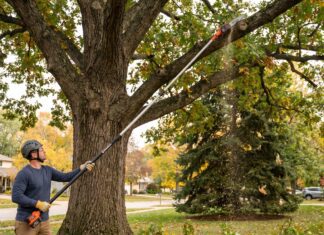 Best Pole Saw Pruners: Manual, Electric, Battery & Gas Buying Guide Pole saw pruner trimming high tree branches from the ground