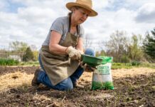 Best Starter Fertilizer for New Grass Seed 2026: Lawn Seeding Picks Starter Fertilizer for New Grass Seed