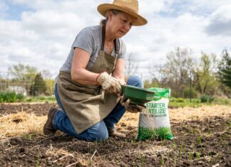 Best Starter Fertilizer for New Grass Seed 2026: Lawn Seeding Picks Starter Fertilizer for New Grass Seed