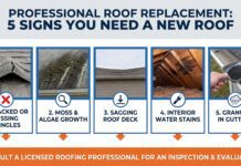Professional Roof Replacement Guide: When Your Home Needs a New Roof Installation Damaged and curled asphalt roof shingles indicating the need for professional roof replacement