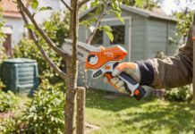 Stihl Mini Chainsaw Guide: GTA 26, Battery Options & What to Know Before Buying A compact Stihl mini chainsaw style pruning saw cutting a small tree branch in a backyard