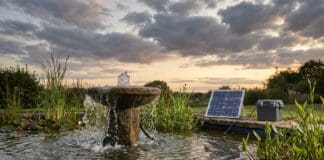 Best Solar Water Fountain Pump With Battery Backup (2026 Picks) Solar water fountain pump with battery backup running at dusk in a backyard bird bath