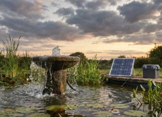 Best Solar Water Fountain Pump With Battery Backup (2026 Picks) Solar water fountain pump with battery backup running at dusk in a backyard bird bath