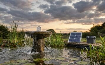 Best Solar Water Fountain Pump With Battery Backup (2026 Picks) Solar water fountain pump with battery backup running at dusk in a backyard bird bath
