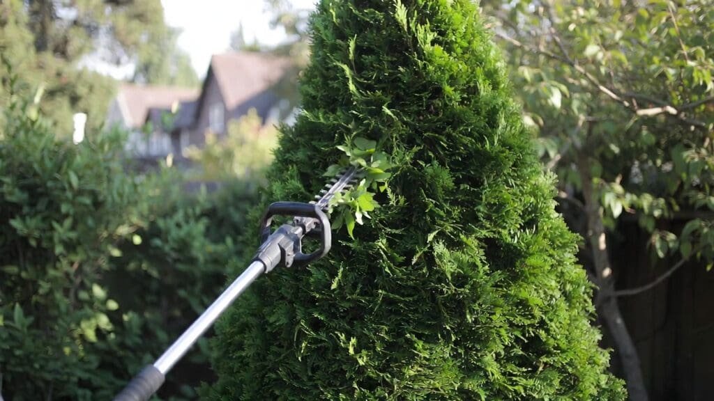 Hedge Cutter Level Best Pole Hedge Trimmer (2026): 5 Picks for Tall Hedges