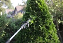 Best Pole Hedge Trimmer (2026): 5 Picks for Tall Hedges Cordless pole hedge trimmer cutting the top of a tall backyard privacy hedge from ground level