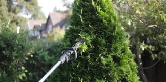 Best Pole Hedge Trimmer (2026): 5 Picks for Tall Hedges Cordless pole hedge trimmer cutting the top of a tall backyard privacy hedge from ground level