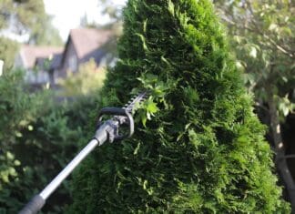 Best Pole Hedge Trimmer (2026): 5 Picks for Tall Hedges Cordless pole hedge trimmer cutting the top of a tall backyard privacy hedge from ground level