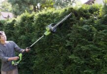 Cordless Pole Hedge Trimmer: Battery Guide for Tall Hedges Homeowner using a cordless pole hedge trimmer from ground level to shape the top of a tall privacy hedge