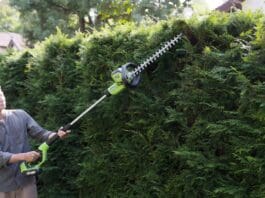 Cordless Pole Hedge Trimmer: Battery Guide for Tall Hedges Homeowner using a cordless pole hedge trimmer from ground level to shape the top of a tall privacy hedge