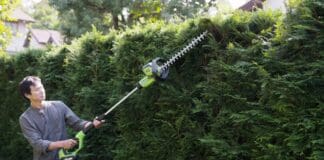 Cordless Pole Hedge Trimmer: Battery Guide for Tall Hedges Homeowner using a cordless pole hedge trimmer from ground level to shape the top of a tall privacy hedge