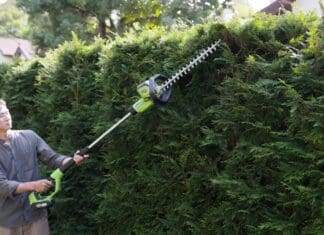 Cordless Pole Hedge Trimmer: Battery Guide for Tall Hedges Homeowner using a cordless pole hedge trimmer from ground level to shape the top of a tall privacy hedge