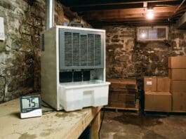 Dehumidifier and Mold Removal: What It Can and Can’t Do Dehumidifier running in a damp basement with a humidity meter nearby to help prevent mold growth