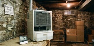 Dehumidifier and Mold Removal: What It Can and Can’t Do Dehumidifier running in a damp basement with a humidity meter nearby to help prevent mold growth