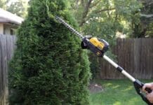 DEWALT Pole Hedge Trimmer Review: Is DCPH820 Worth Itdewalt-pole-hedge-trimmer? DEWALT cordless pole hedge trimmer cutting the top of a tall backyard privacy hedge from ground level