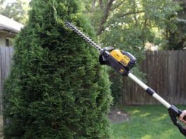 DEWALT Pole Hedge Trimmer Review: Is DCPH820 Worth It? DEWALT cordless pole hedge trimmer cutting the top of a tall backyard privacy hedge from ground level