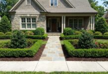 Foundation Hedges: Best Shrubs to Frame and Protect Your Home Neatly planted foundation hedges framing the front of a house with evergreen shrubs, mulch, and a clear walkway