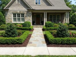 Foundation Hedges: Best Shrubs to Frame and Protect Your Home Neatly planted foundation hedges framing the front of a house with evergreen shrubs, mulch, and a clear walkway