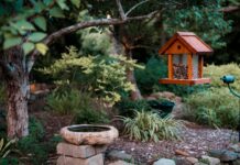 How to Attract Birds to Your Yard: Food, Water, Plants & Shelter Backyard bird feeder, bird bath, native plants, and shrubs arranged to attract birds safely