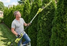 RYOBI Pole Hedge Trimmer Review: Is It Worth Buying? Homeowner using a RYOBI 40V pole hedge trimmer to shape the top of a tall backyard privacy hedge