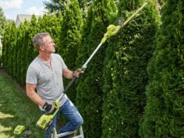 RYOBI Pole Hedge Trimmer Review: Is It Worth Buying? Homeowner using a RYOBI 40V pole hedge trimmer to shape the top of a tall backyard privacy hedge