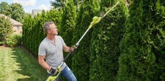 RYOBI Pole Hedge Trimmer Review: Is It Worth Buying? Homeowner using a RYOBI 40V pole hedge trimmer to shape the top of a tall backyard privacy hedge