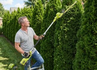 RYOBI Pole Hedge Trimmer Review: Is It Worth Buying? Homeowner using a RYOBI 40V pole hedge trimmer to shape the top of a tall backyard privacy hedge