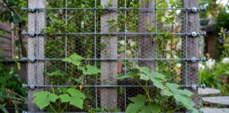 Wire Trellis for Climbing Plants: DIY, Chicken Wire & Kits Wire trellis for climbing plants with stainless cable, chicken wire, wall anchors, jasmine vines, cucumbers, and garden tools
